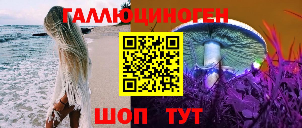 Галлюциногенные грибы прущие грибы Москва